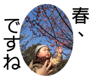 379416551