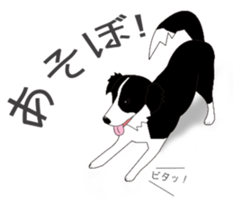 3794940