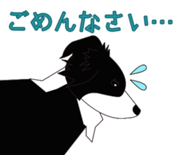 3794947