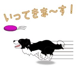 3794957
