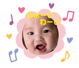 379505691