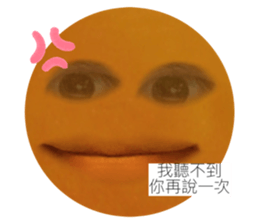 379525213