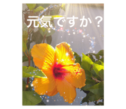 379544313