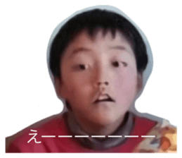 379551924