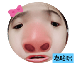 379568462