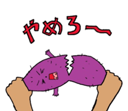 3795806