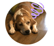 379632986