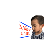 37977145