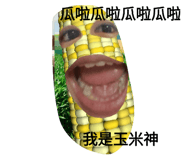 379800962