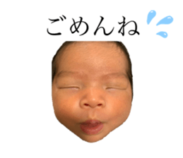 379857520