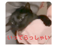 379857844