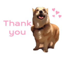 379904470
