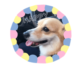 379904501