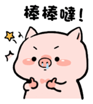 380008127