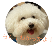 380033405