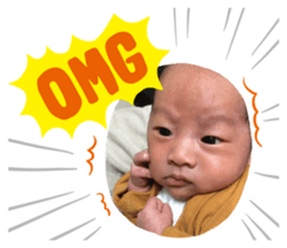 380051593