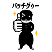 380070560