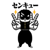 380070561