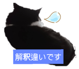 380081822
