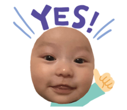 380099362