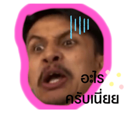380113838