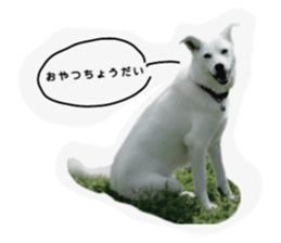 380223974