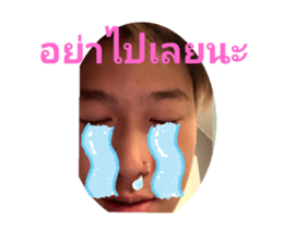 380225516