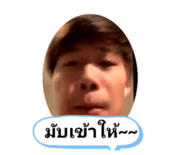380225517