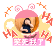 380225531
