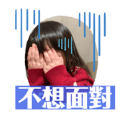 380225538