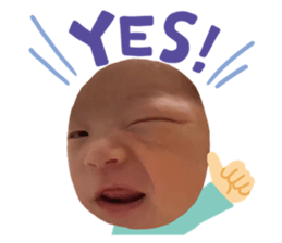 380228234