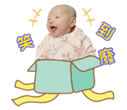 380233169