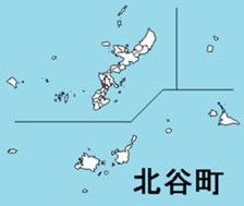 380253020