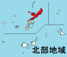 380253496