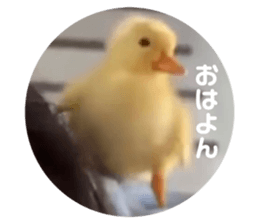 380291589