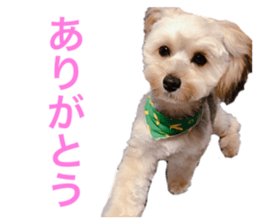 380298751
