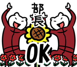 38031707