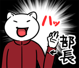 38031740