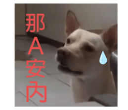 380318053