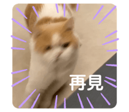 380318846