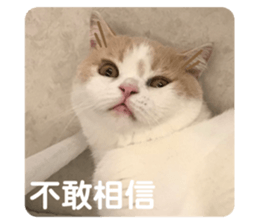 380318847