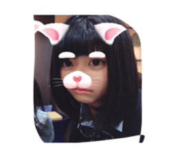 38032518