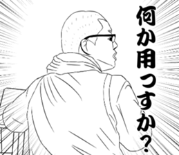 38033576