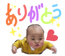 380366796
