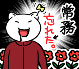 38037229