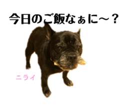 380401653
