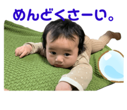 380441437