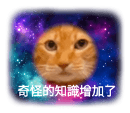 380448441