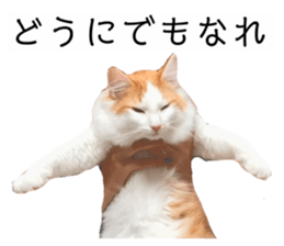 380500149