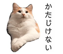 380500154